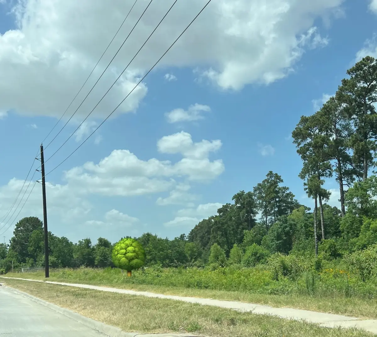 0 State Highway 249, Tomball, TX 77375 - #1