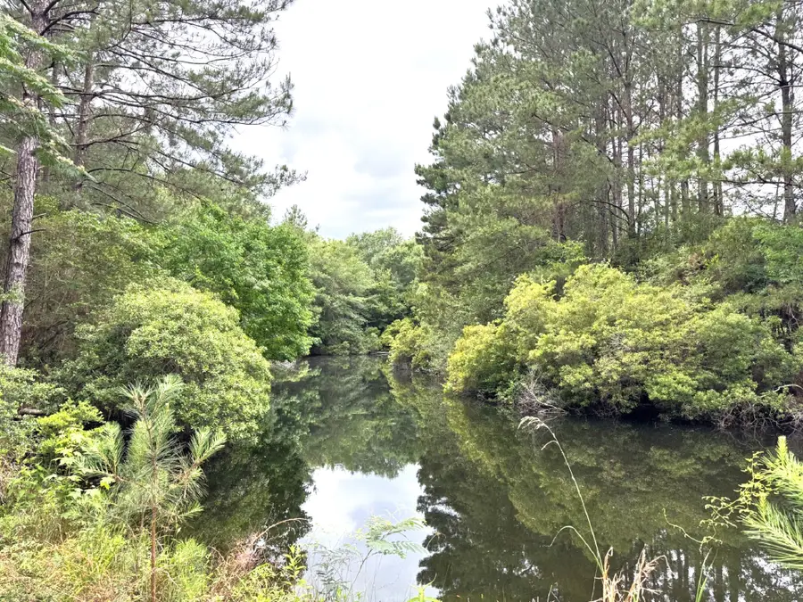 704 E Elder Street, Colmesneil, TX 75938 - #3