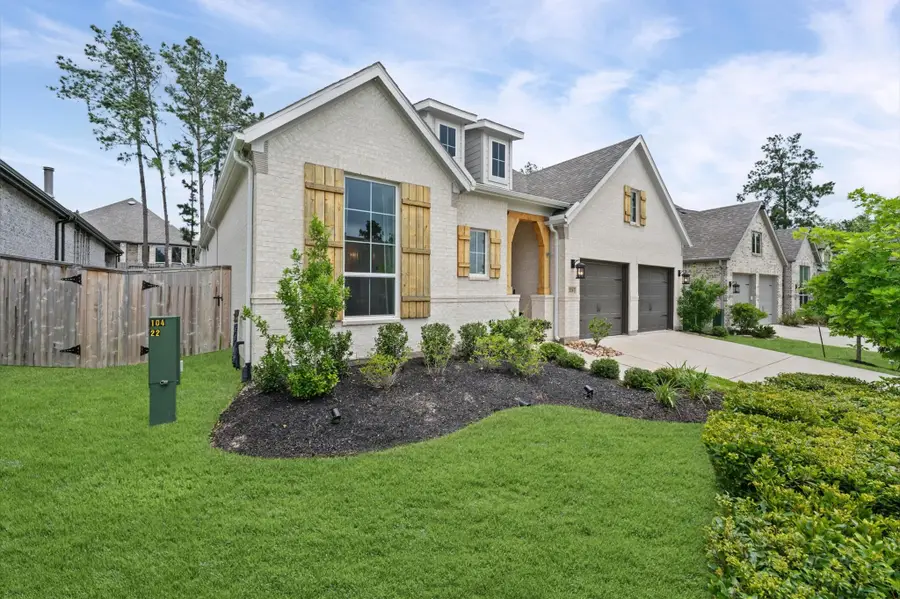 220 Lookout Ridge Drive, Montgomery, TX 77316 - #3