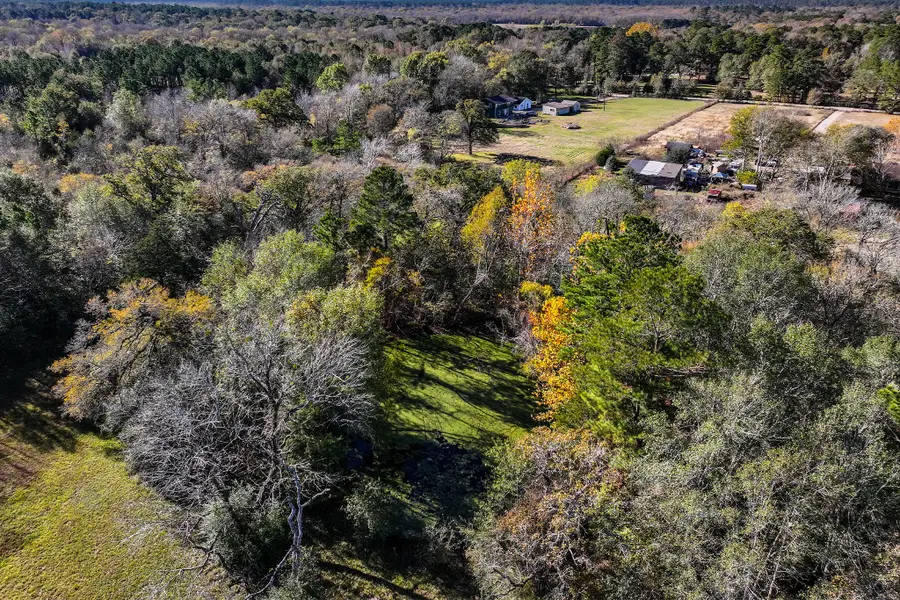 15 Davis Lane, Huntsville, TX 77340 - Image #3