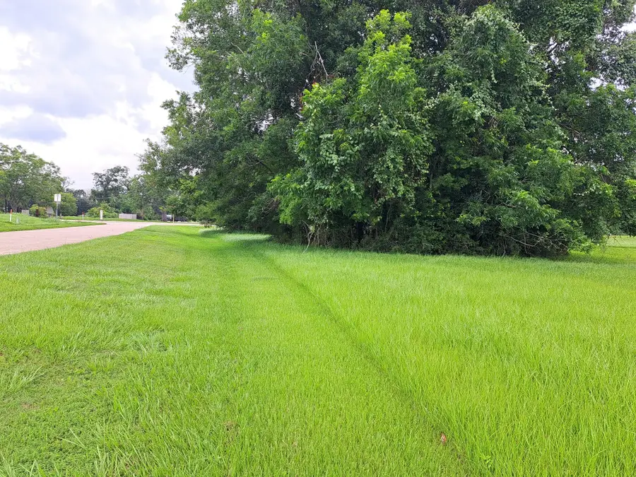 101 Cattle Drive Trail, Angleton, TX 77515 - #3
