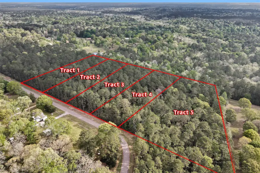 TBD TR2 Cedar Lane Loop, Willis, TX 77378 - #2
