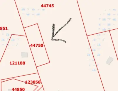 FM 223 Fm, Shepherd, TX 77371