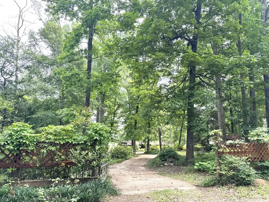 815 County Road 3170, Colmesneil, TX 75938 - #3