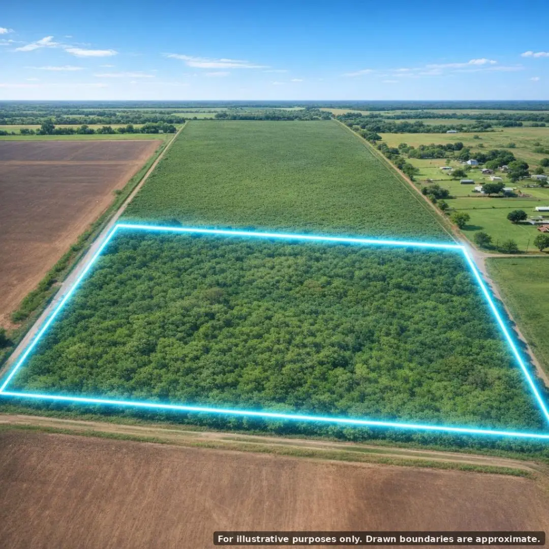 0 Olmito North Road, Los Fresnos, TX 78566 - #1