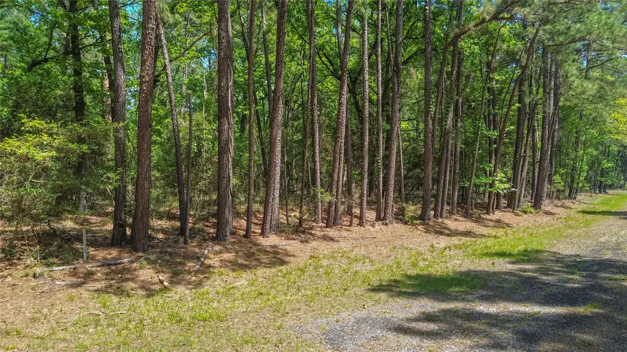 TBD Oakmont Court, Huntsville, TX 77320 - #2