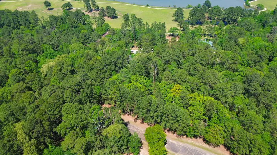 TBD Oakmont Court, Huntsville, TX 77320 - #3