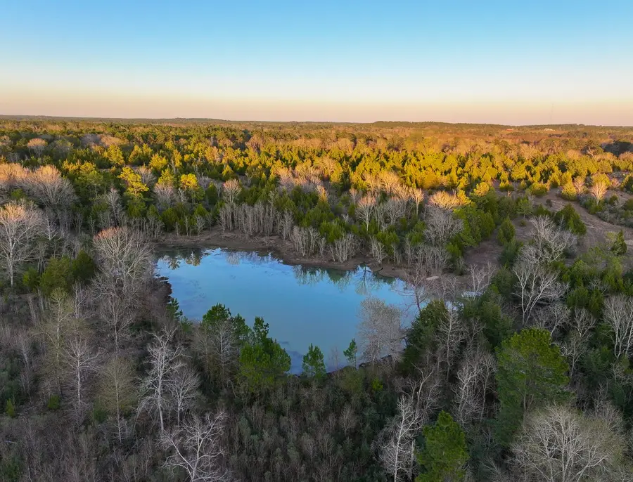 301 Paul Poe Road, Livingston, TX 77351 - #3