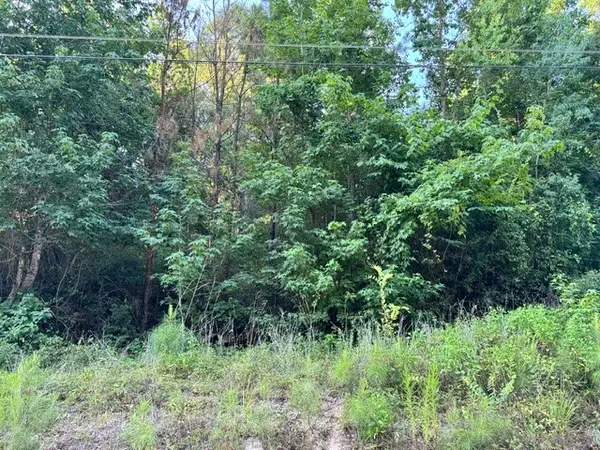 TBD16 White Rock Acres Road, Trinity, TX 75862