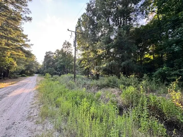 TBD16 White Rock Acres Road, Trinity, TX 75862 - #3