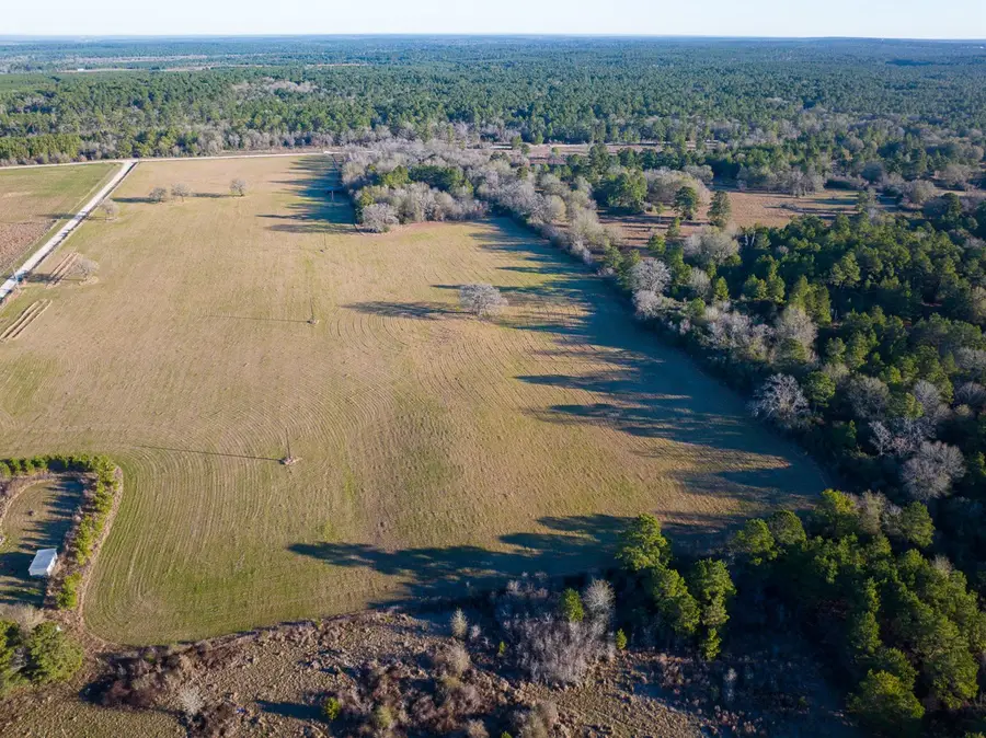 TBD Dickey Loop, Huntsville, TX 77320 - Image #2