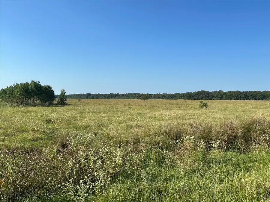 Lot 64 Minnie West Rd Drive, Hull, TX 77564 - #2