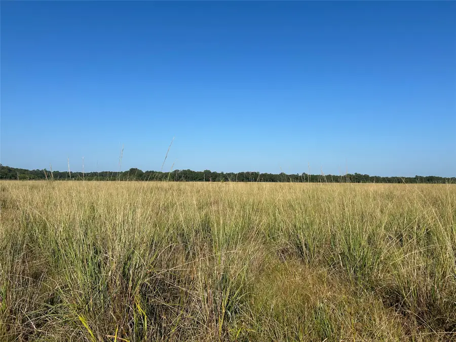 Lot 64 Minnie West Rd Drive, Hull, TX 77564 - #3