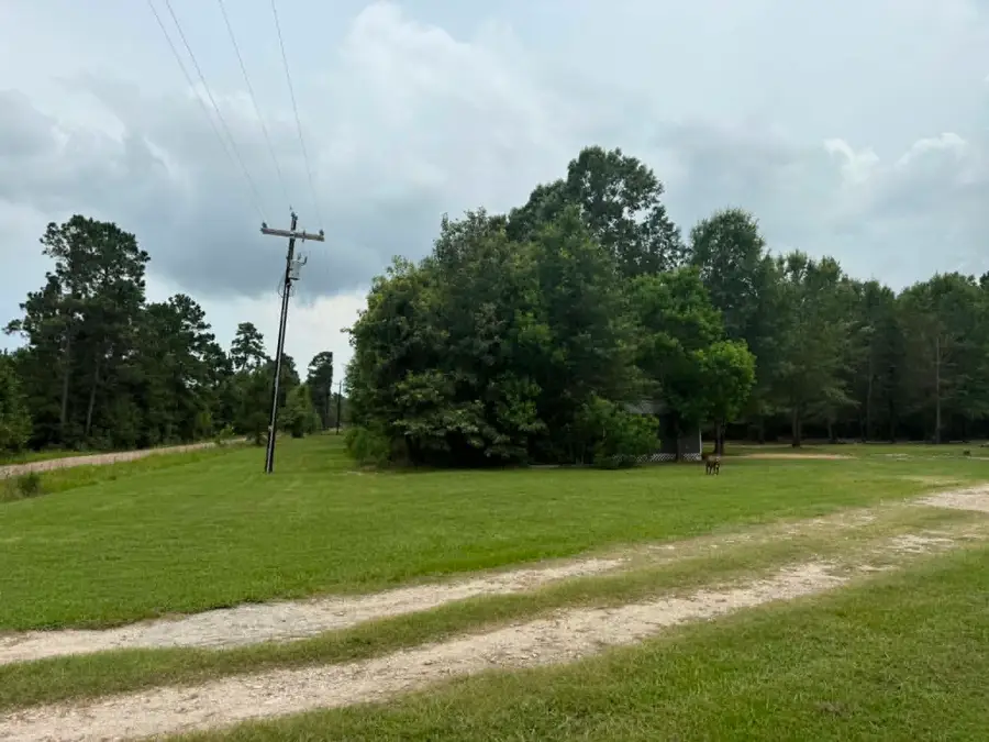 476 Camp Branch Road, Trinity, TX 75862 - #3