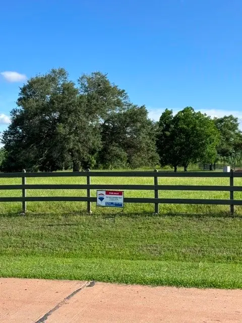 30934 Riverlake Rd, Fulshear, TX 77441 - #3