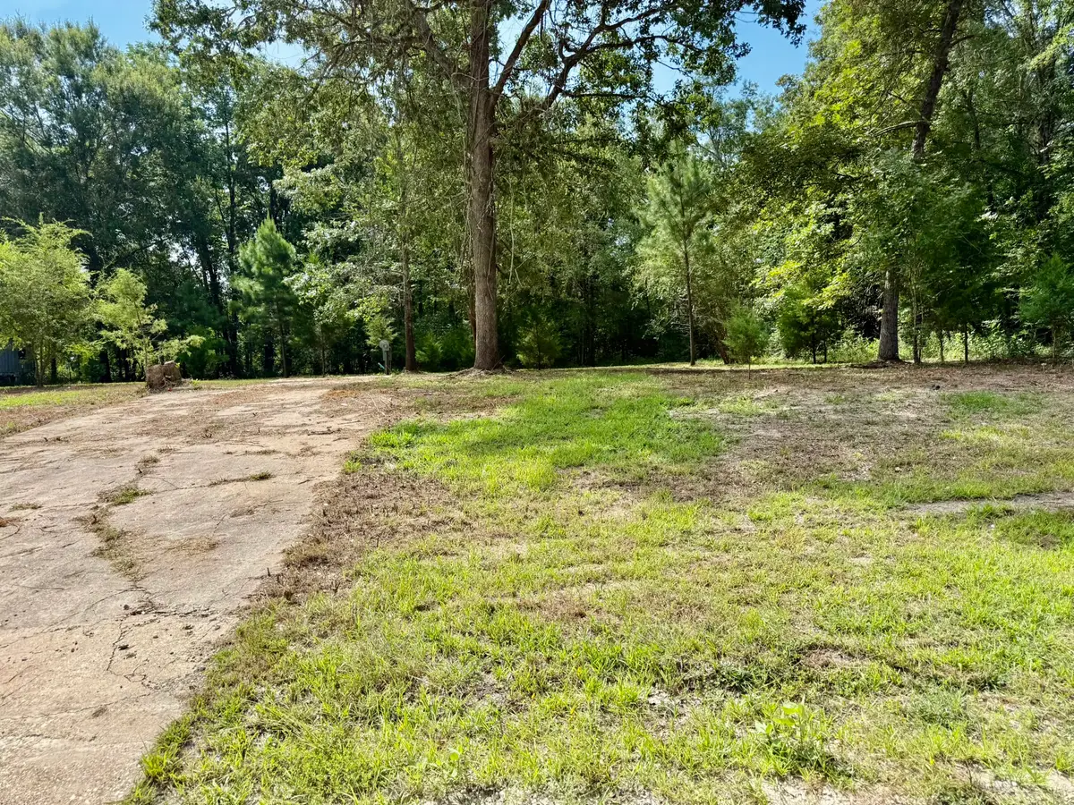800 Windwood Drive, Livingston, TX 77351 - #1