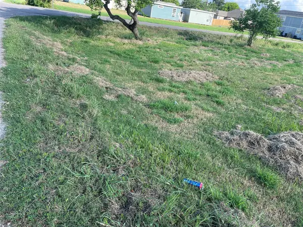 803 W 6th Street, Freeport, TX 77541