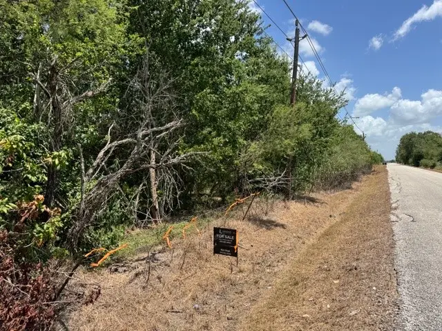 TBD Hopkins Road, Beasley, TX 77417 - #2