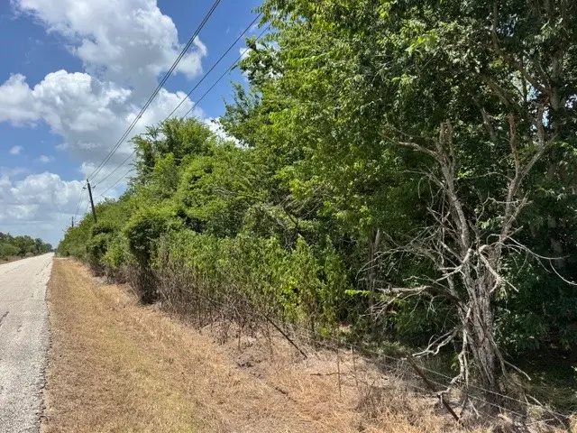 TBD Hopkins Road, Beasley, TX 77417 - #3