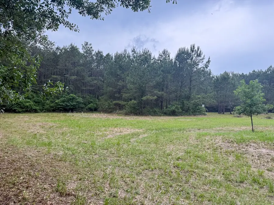 1131 Big Woods Road, New Waverly, TX 77358 - #3