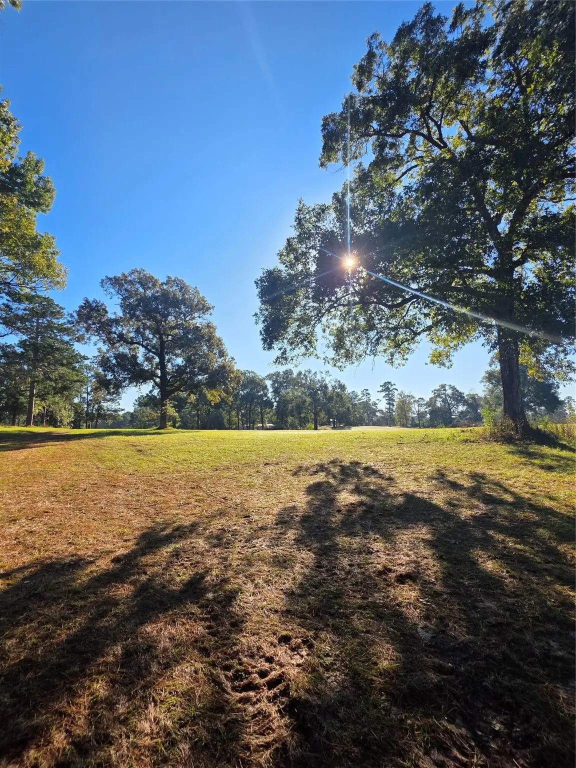 860 Easy Street Road, Livingston, TX 77351 - Image #1