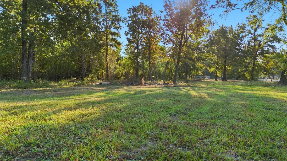 TBD (LOT 24) Deep Woods Lane, Livingston, TX 77351 - #1