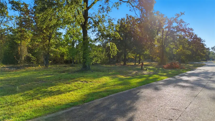 TBD (LOT 24) Deep Woods Lane, Livingston, TX 77351 - #2