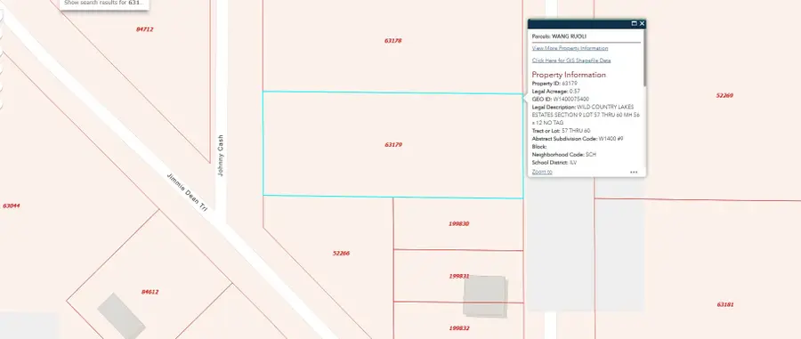 287 Johnny Cash Road, Livingston, TX 77351 - Image #3