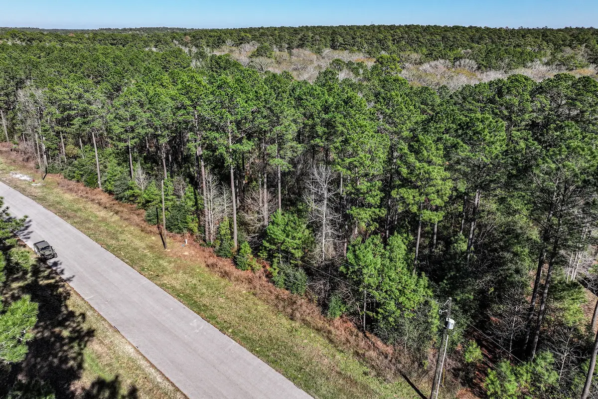 76 Wagon Pass, Huntsville, TX 77340 - #1