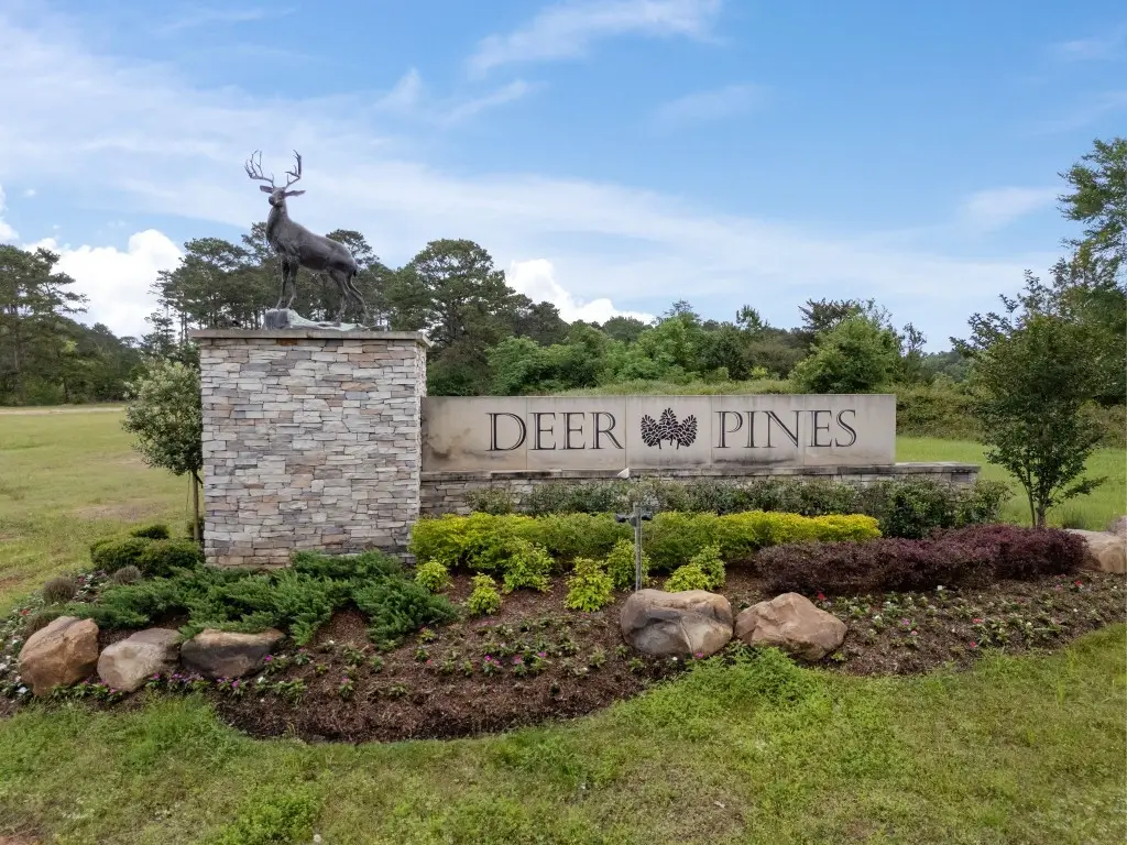 13660 Armstrong Street, Conroe, TX 77303 - #1