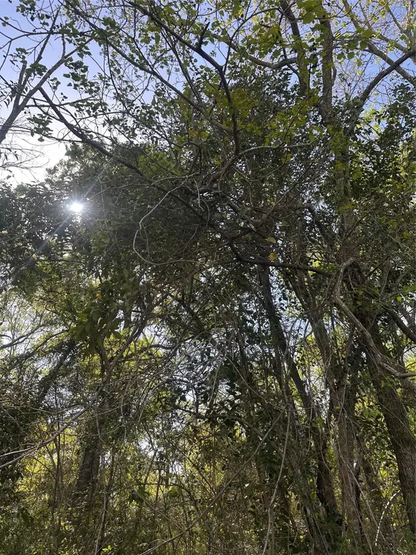 0 S 7th Street, Conroe, TX 77301