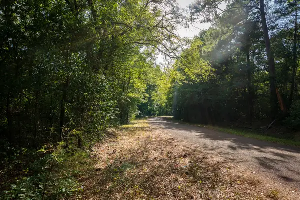 TBD Fm-343, Rusk, TX 75785