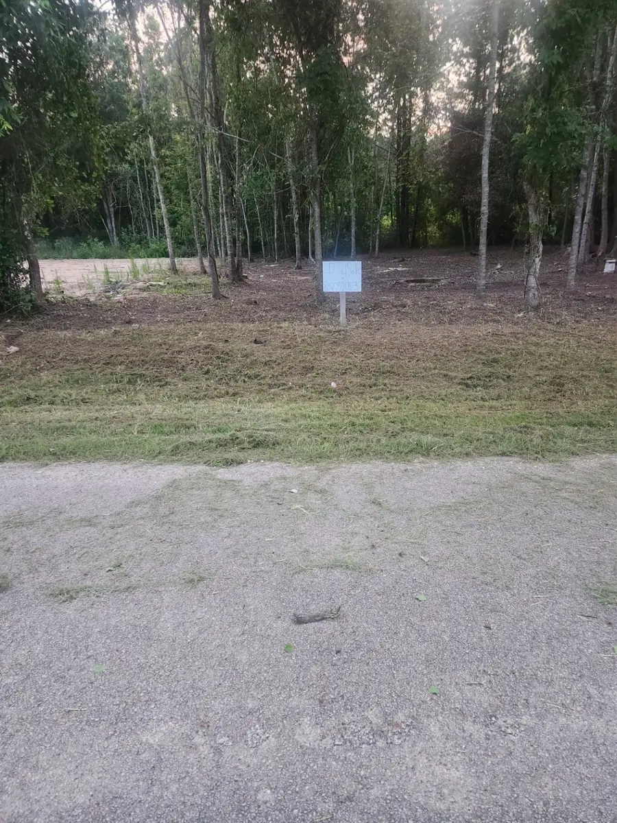 #3