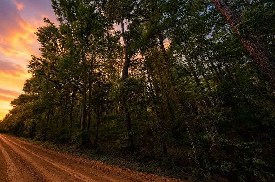 1-7-15 Forever Road, New Waverly, TX 77358 - #3