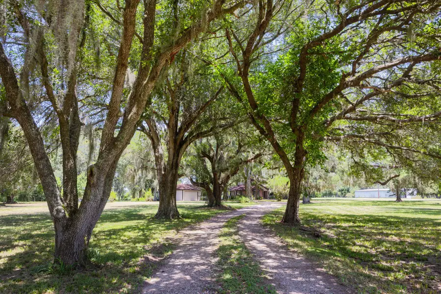 21802 Lake View Road, Damon, TX 77430 - #3