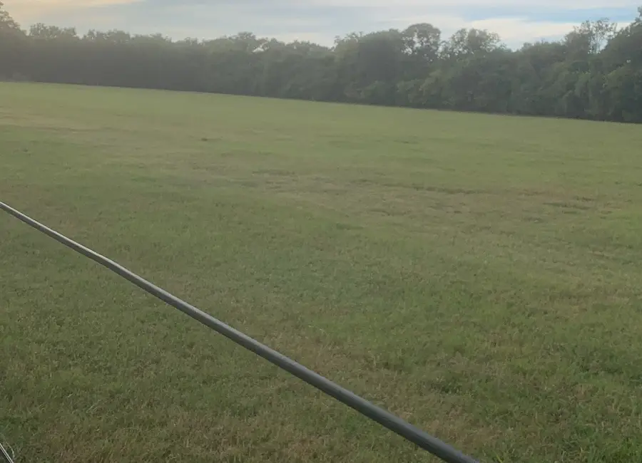 2100 Peach Ridge Road, Brookshire, TX 77423 - Image #3