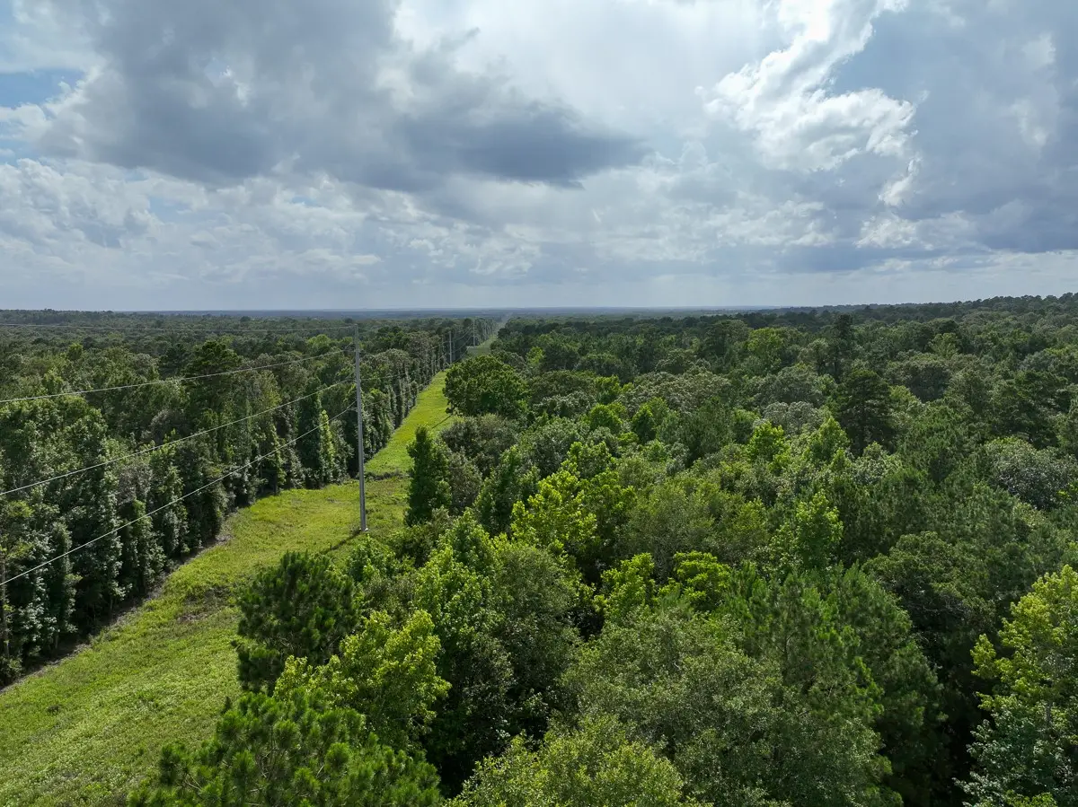 0 County Road 2065, Crockett, TX 75835 - #1
