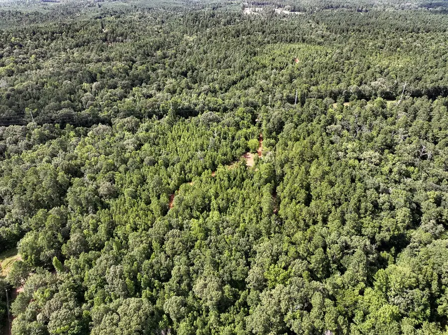 0 County Road 2065, Crockett, TX 75835 - #2