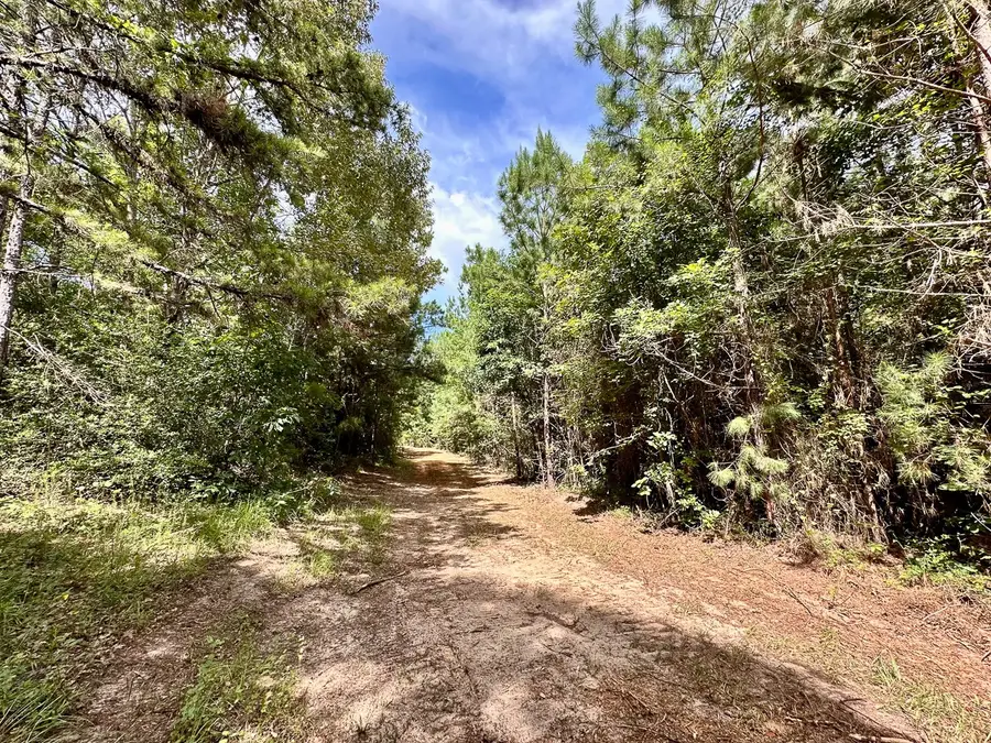 0 County Road 2065, Crockett, TX 75835 - #3
