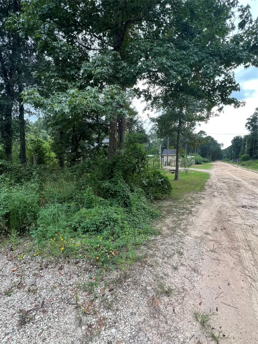 25688 York, New Caney, TX 77357 - Image #3