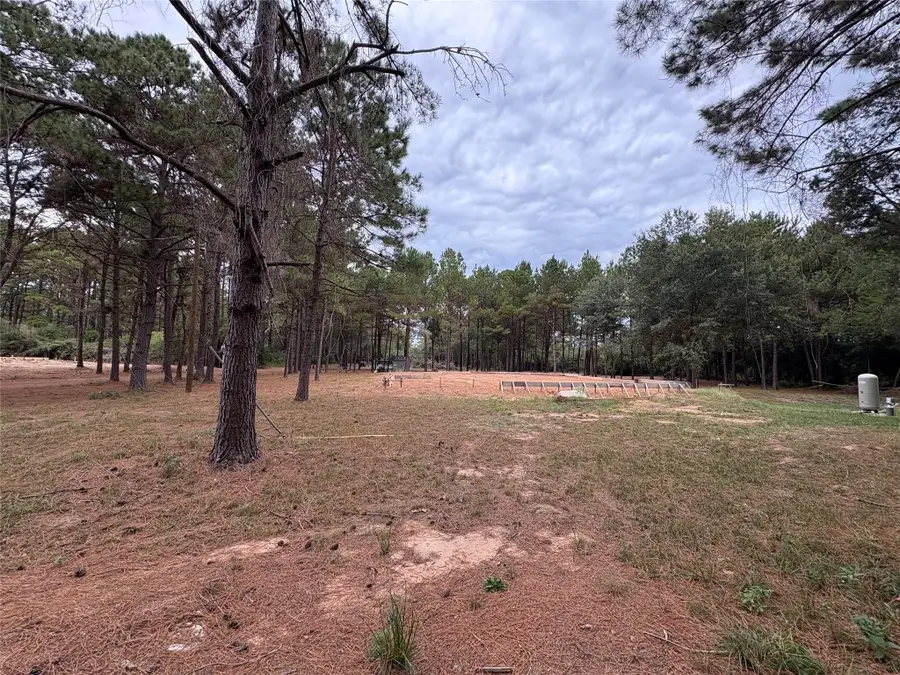 19602 Fisher Drive, Tomball, TX 77377 - #2