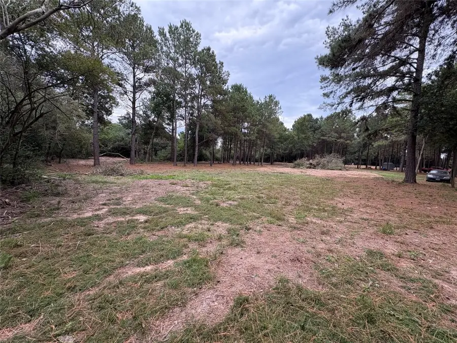 19602 Fisher Drive, Tomball, TX 77377 - #3