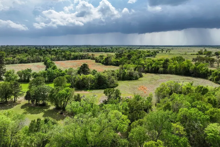 1881 Sh 75 North, Huntsville, TX 77320 - #2