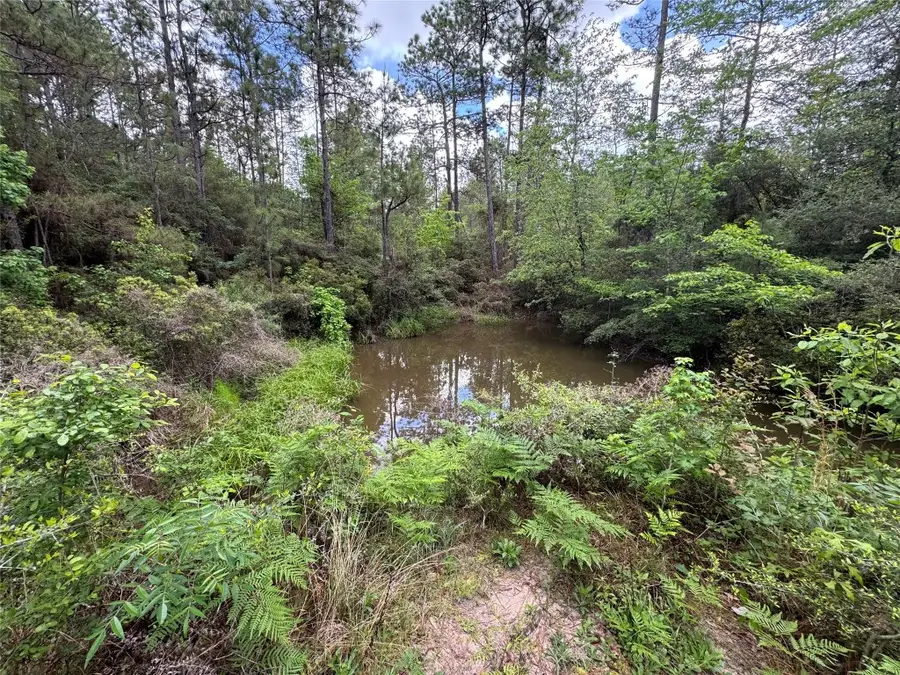 189 Sweet Magnolia Lane, Chester, TX 75936 - #2