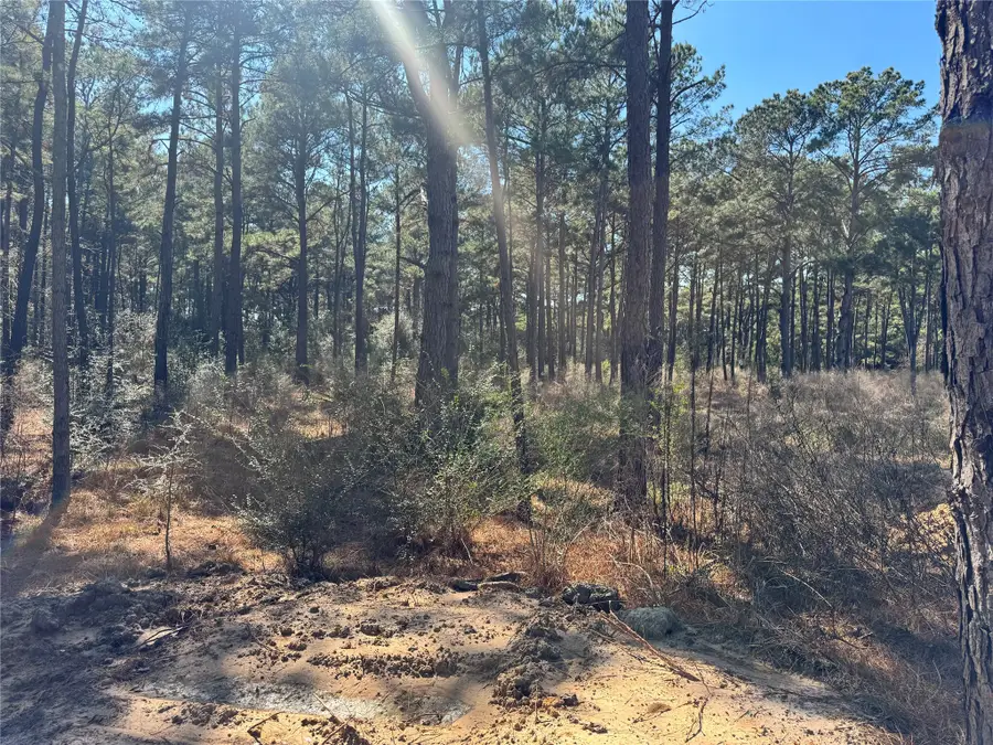 0 Grant Road, Cypress, TX 77429 - #3