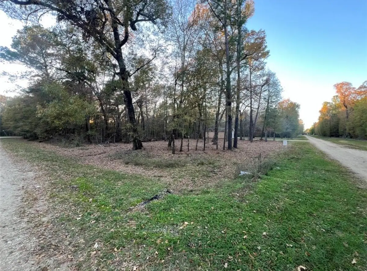 0 Mossy Drive, Livingston, TX 77351 - #1