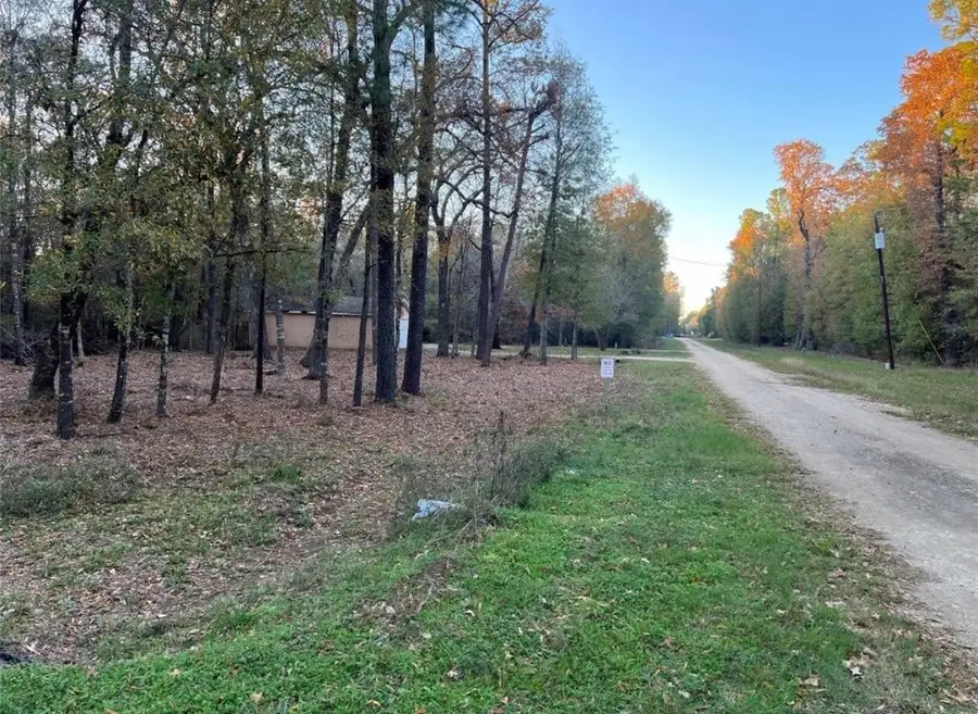 0 Mossy Drive, Livingston, TX 77351 - #3