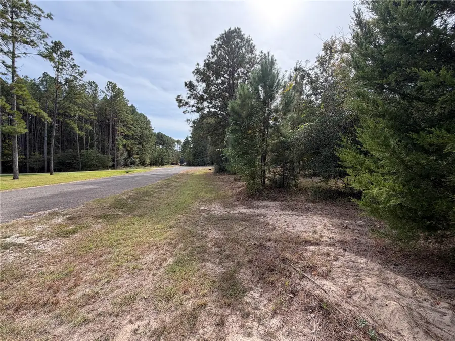 TBD Lots 65 And 73, Livingston, TX 77352 - #3