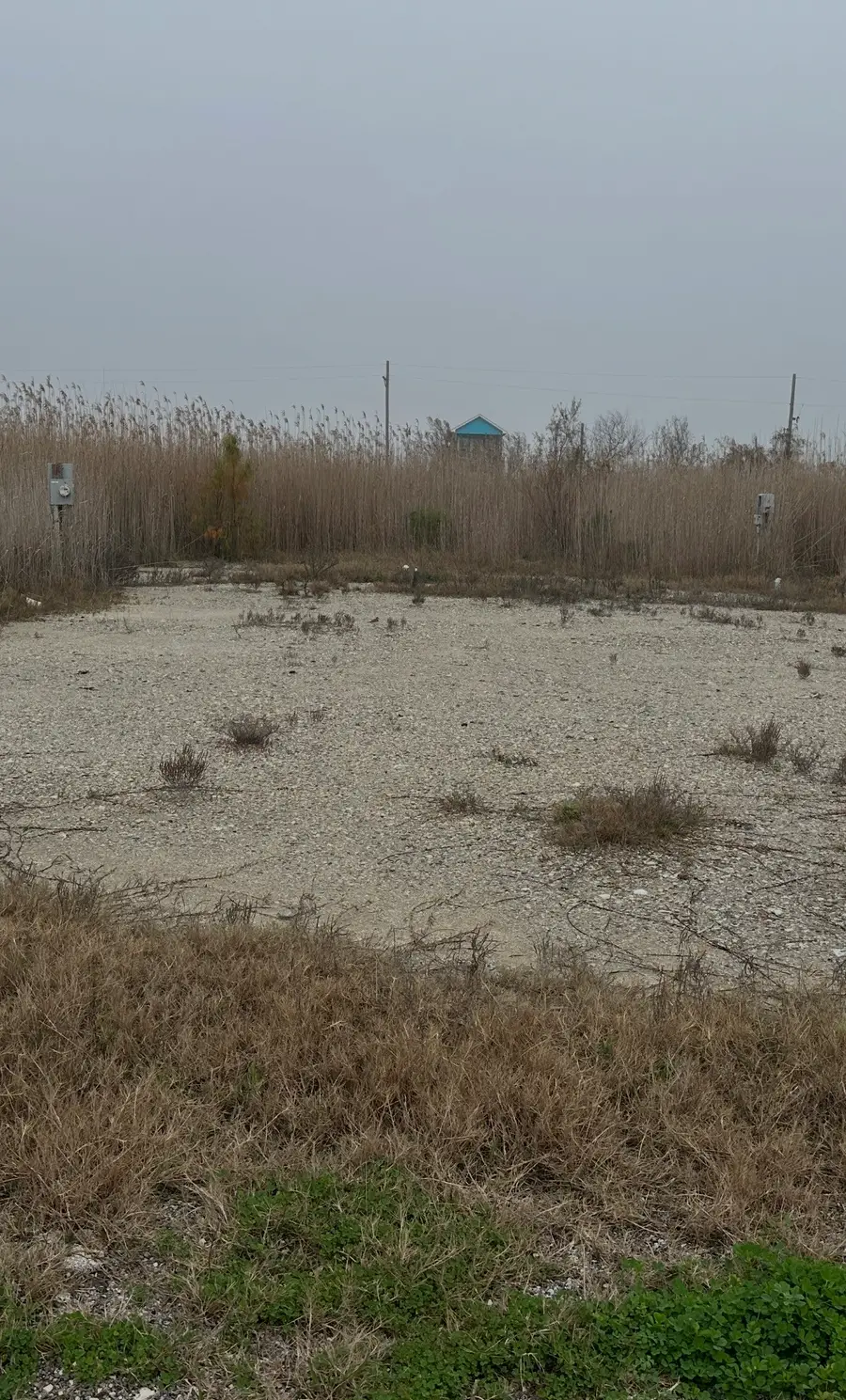 1064 Beach Front Drive, Gilchrist, TX 77617 - #3