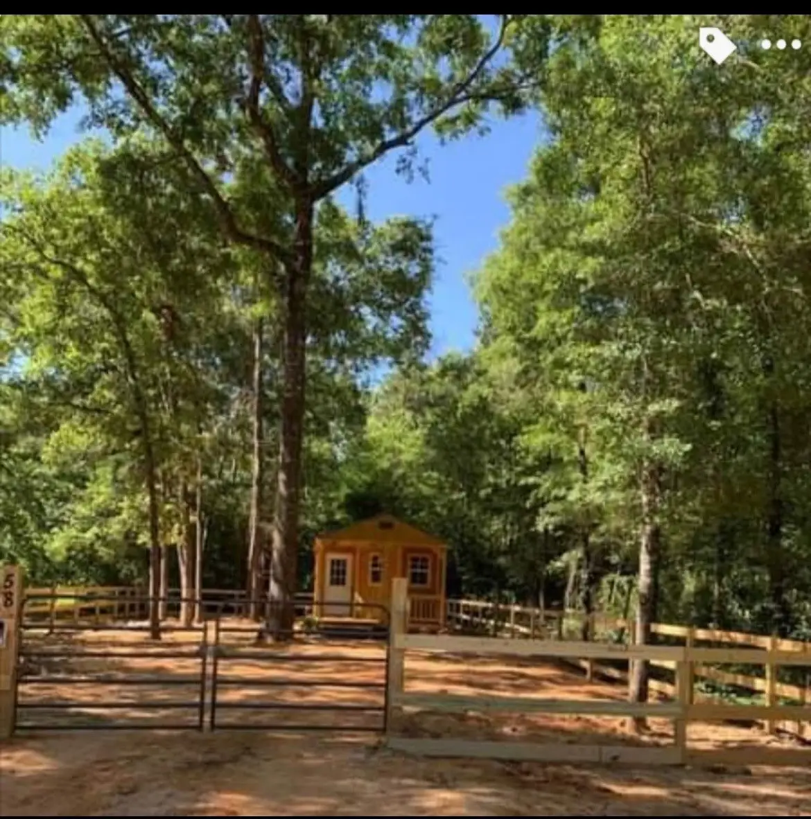 175 Cloverdale, Livingston, TX 77351 - #1